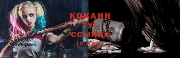 соль ск Протвино