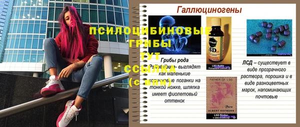 амф Алексеевка