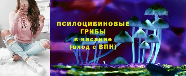 бошки Алзамай